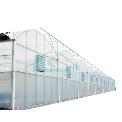 China Stable structure easily assembled plastic greenhouse for sale