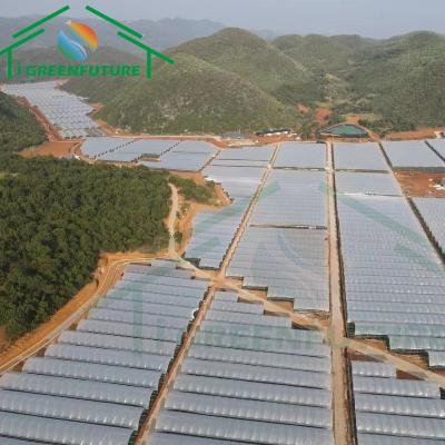 China Stable Structure Easily Assembled Ploy Tunnel Agricultural Greenhouse For Plant Film Plastic Greenhouse With Shading System for sale