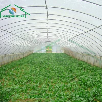 China Stable Structure Easily Assembled Agricultural Growing Dome Plastic Sheet Greenhouse Tent Protection Film UV Greenhouse for sale