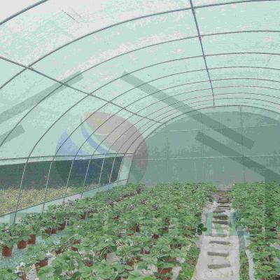 China Stable Structure Easily Assembled Factory Price Low Cost 2022 Tunnel Greenhouse Single Span Plastic Greenhouse Film Agricultural Greenhouse for sale