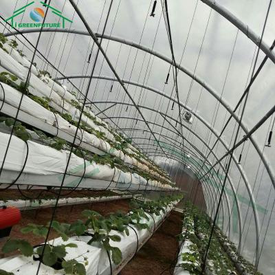 China Stable Structure Easily Assembled Steel Frame Agricultural Greenhouse Hot Dipped Galvanized Single Span Greenhouse With Cooling System for sale