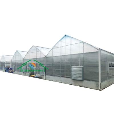 China PC leaf China factory vegetables or fruit cultivation greenhouse circuit board hothouse for planting leafy vegetables and fruits for sale