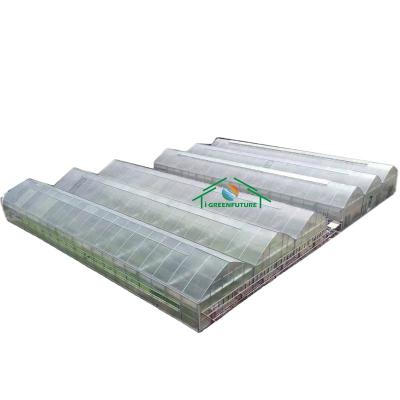 China Stable Structure Easily Assembled PC Sheet Greenhouse Multi Span Greenhouse 2022 for sale