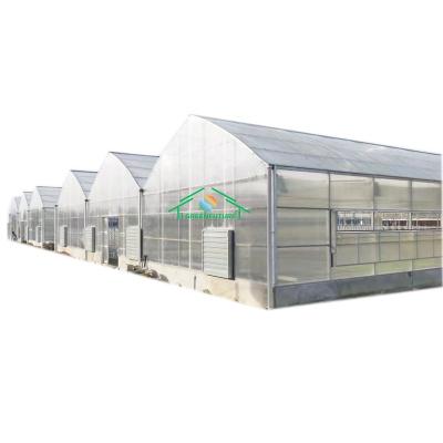 China Stable Structure Easily Assembled Polycarbonate Sheet Greenhouse In Philippines for sale