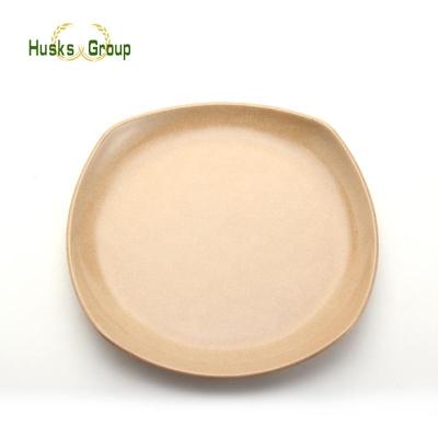 China Sustainable Natural Rice Husk Biodegradable Reusable Cake Dish for sale