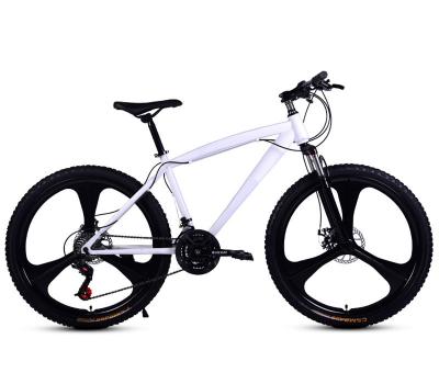 China Aluminum Alloy Popular Sales Carbon Road Bike / Cycling / Road Bicycle for sale