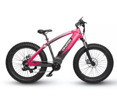 China Fast Delivery China Aluminum Alloy 24 Inch Fat Tire Snow Mountain Bike Bicycles for sale