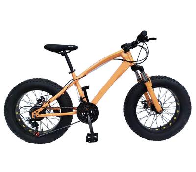 China Low Price 20 Inch 21 Fat Tire Kids/Kids Snow Bike Steel Blue Red Black Bicycle Price for sale