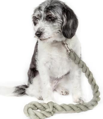 China Durable Industrial Strength Shock Absorption Woven Dog Leash For Training for sale