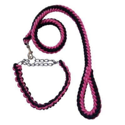 China Sustainable Factory Supply Medium Large Paracord Braided Pet Rope Dog Collar And Nylon Leash for sale