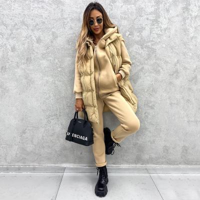 China Autumn And Winter New Solid Color Windproof Pocket Zipper Cotton Vest Sleeveless Loose Women 2022 for sale