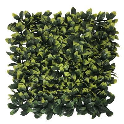 China Minimalist Customized Plastic Steep Spike Boxwood Hedge Wall Artificial Plant For Garden Home Decoration for sale