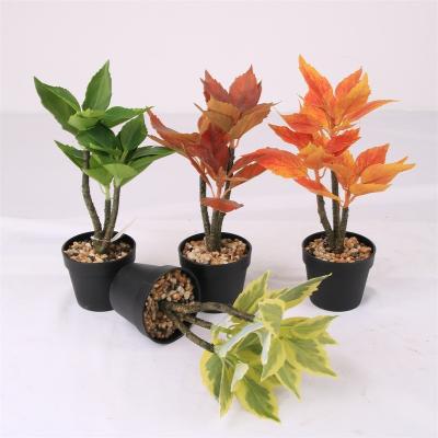 China Minimalist OEM Plant Decorative Artificial Table Mini Plants Europes Bonsai Plant for sale