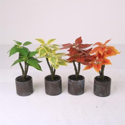 China Minimalist OEM Decorative Small Mini Artificial Bonsai Plant Plant for sale