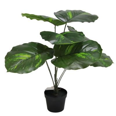 China 12 Hands Artificial Plant Wholesale Hot Selling Minimalist National Scindapsus Leaf For Home Indoor And Outdoor Decoration for sale