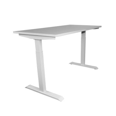 China (Height)Adjustable Height Adjustable Working Desk Working Desk Executive Desk for sale