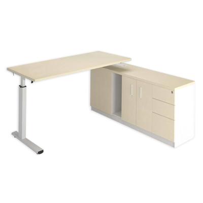 China (Height)Adjustable Adjustable Height Working Desk Executive Electric Lifting Desk for sale