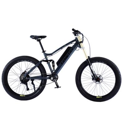 China Aluminum Alloy China Supplier 9 Speed ​​Aluminum Alloy Electric Mountain Bike for sale