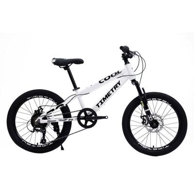 China Aluminum Alloy Cheap Price 20 Inch 7 Speed ​​Carbon Steel Kids Mtb Mountain Bicycle for sale