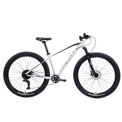 China Multicolor aluminum alloy cheap price carbon fiber travel bicycle mountain bike for sale