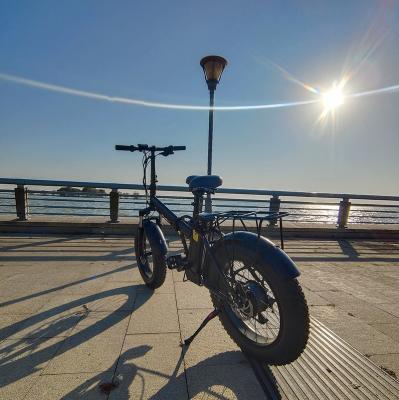 China 250w500w Breathable Electric Bike 20 Speed ​​Travel Aluminum Alloy Steel Frame Daily City Times E for sale