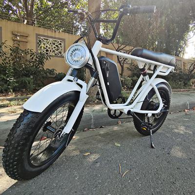 China Wuye steel 20 inch ebike 750w 1000w dual battery fat tire electric mountain bike raw for sale