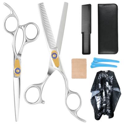 China Professional Hair Trimming Scissors Hairdressing Scissors Thinning Stainless Steel for sale