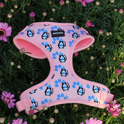 China Custom High Quality Polyester Printed Colorful Custom Cat Dog Harness And Leash Comfortable For Pets for sale