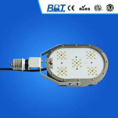 China High Quality Powerful Outdoor LED Street Light with Meawell Driver for sale