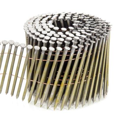 China Cap frame pallet coil nailshigh quality galvanized plastic umbrella top roofing nails hot sale hot dipped for sale