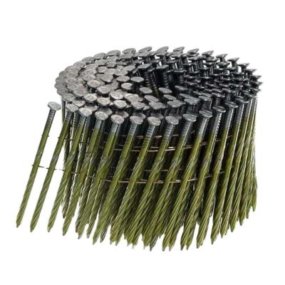 China High Quality Flat Coil Nail EG /HDG Bright Hot Selling for sale