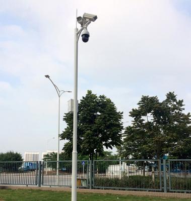 China Street Lamp Post CCTV Camera Pole for sale