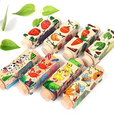 China Educational Toy 2021 New 4PCS Per Set Animal Vegetables Rotating Wooden Brain Teaser IQ Puzzles Educational Game Toys For Children for sale