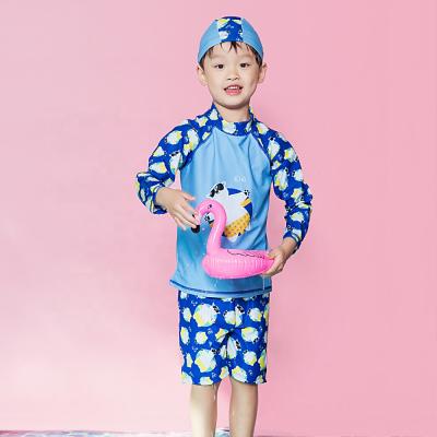 China AOSHILI Boy Kid Swimwear Eco-friendly Swimming Trunks Korean Bathing Rashguard Swimwear Kid for sale