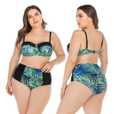 China Wholesale plus size swimwear plus size bikini top set plus size women swimwear for sale