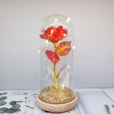 China Europe Crafts Glass Valentine's Day Glass Bottle Present Wooden Rose Flower Led Light Glass Dome Low Bottle for sale