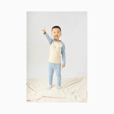 China Daily Life Wholesale Price 100% Polyester Cartoon Kids Sleep Wear Children Boys Breathable Underwear for sale