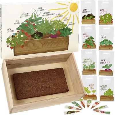 China Cute Summer Kid DIY Indoor Garden Set Starter Wholesale Hot Selling Gardening Kit for sale