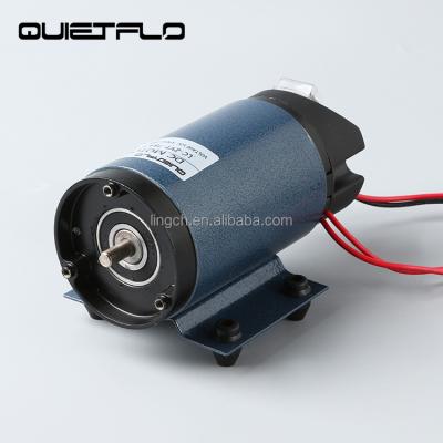 China Waterproof 2800RPM 12V 62W DC Water Pumps Motor for sale