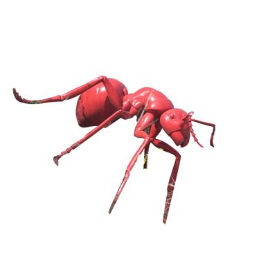 China Versatile China design, colorful stainless steel ant metal art and outdoor ant sculptures that collect Chinese animals for sale