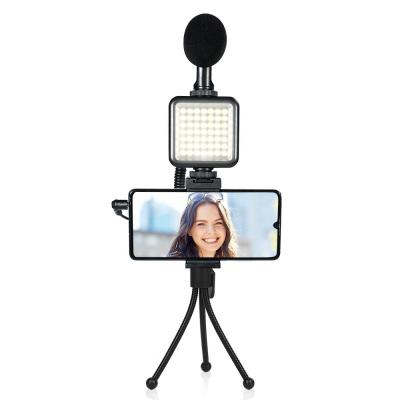 China W&S W49 Factory Price Mini Portable LED Video Mini youtube Selfie Camera LED Light and Microphone Kit 1 for sale