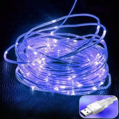 China Indoor Decoration USB String Light 10m 100LED Outdoor Led Rope Lights For Christmas Garden Bedroom Party Decoration for sale