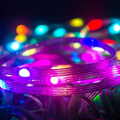 China Holiday Party/Weddding Christmas Decoration LED Color Copper Wire Lamp/String 5m10m USB Color Lamp RGB Flexible Strip Lamp Remote Control Holid Timing Xmas Decorative for sale