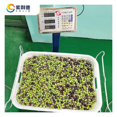 中国 EVOO-250 250KG/H オリーブ油抽出ラインのための遠心分離機 販売のため