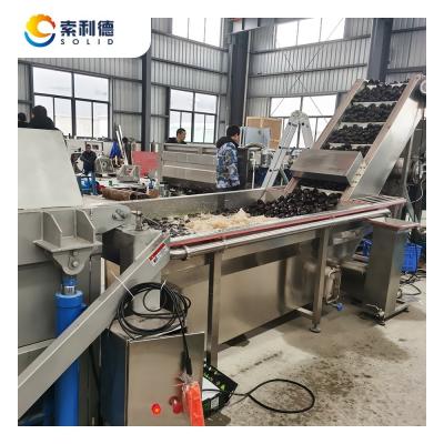 China 5-6T/H Centrifuge Extraction Avocado Oil Extraction Machine With Seed and Skin Removal for sale