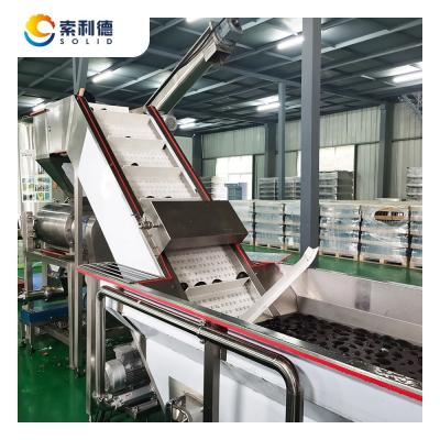 China Centrifuge-extractie Avocado Oil Press Machine voor extra maagdelijke olieproductie van 5 T/H Te koop