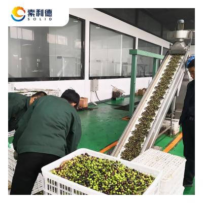 China Long Service Life Guaranteed EVOO-1500 1500KG/H Extra Virgin Olive Oil Production Line for sale