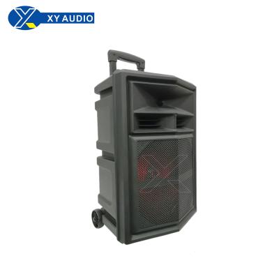 China Pull out rod and wheel speakers and 12 inch XY-1225 fashionable speakers and speakers for sale