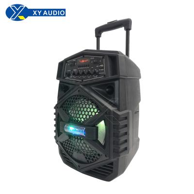 China Pull out rod and wheel speakers and 8 inch speakers and fashionable speakers XY-0804 for sale