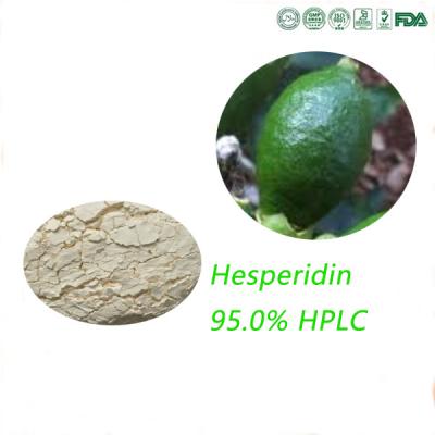 China Polvo de la hesperidina 95,0% de CAS 520-26-3 que trata Insuficiency venoso y hemorroides en venta